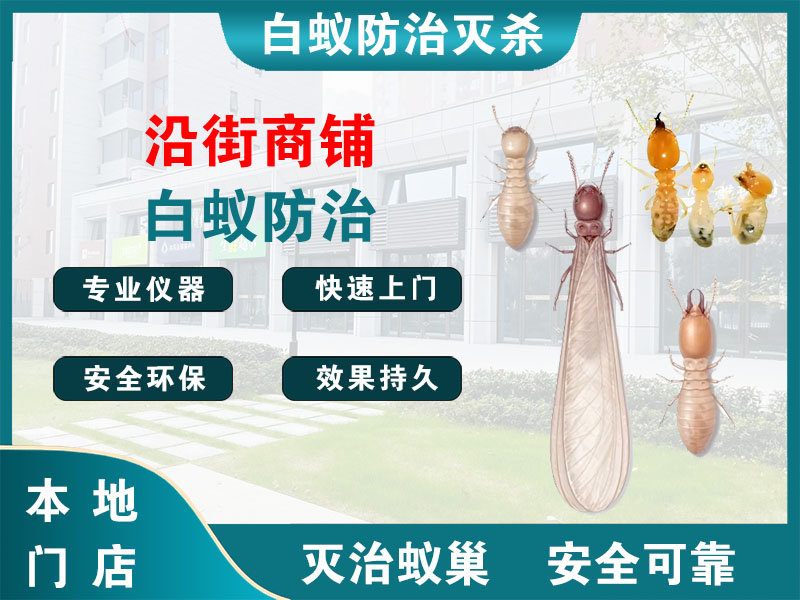 张家港沿街商铺白蚁防治