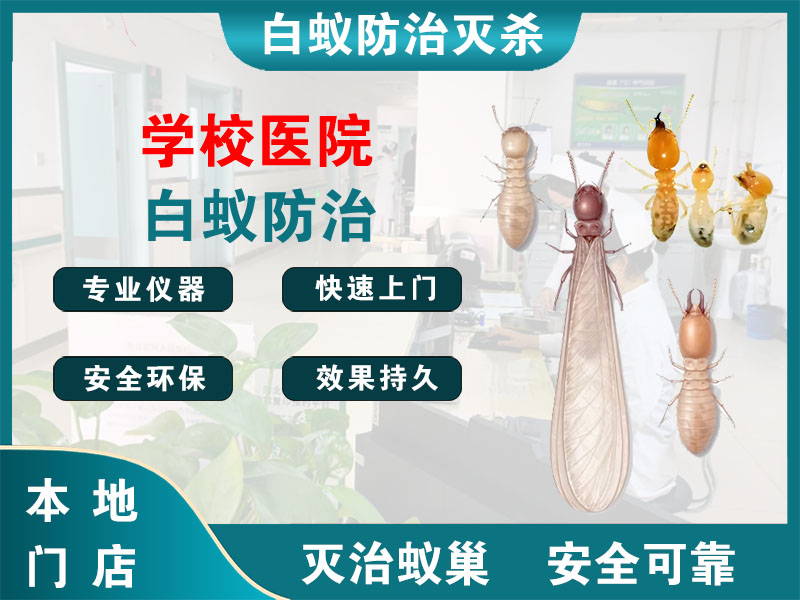 张家港学校医院白蚁防治