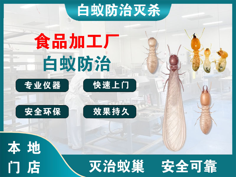 张家港食品加工厂白蚁防治