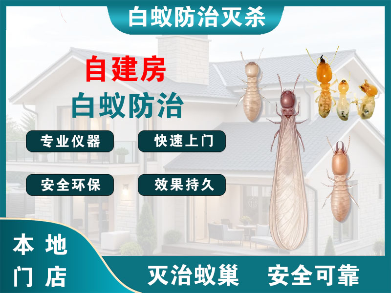 张家港自建房白蚁防治