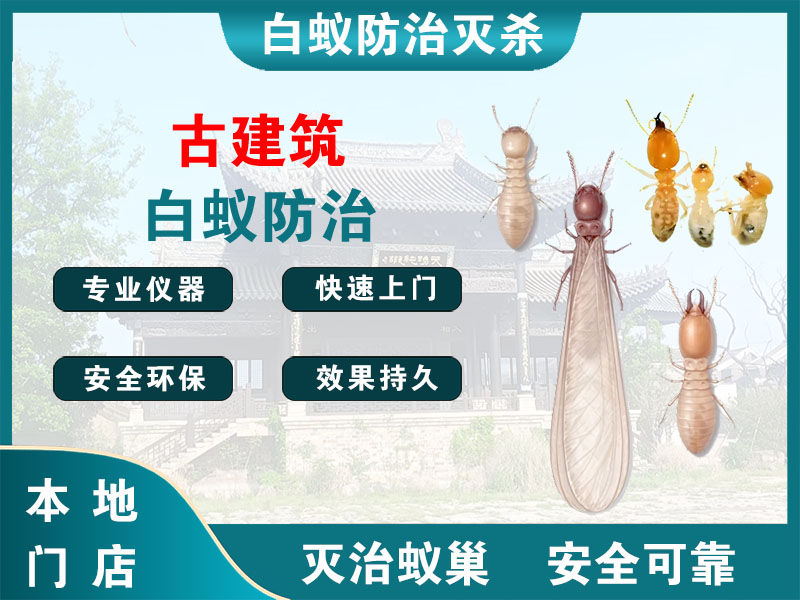 张家港古建筑白蚁防治