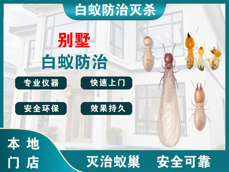 张家港别墅白蚁防治