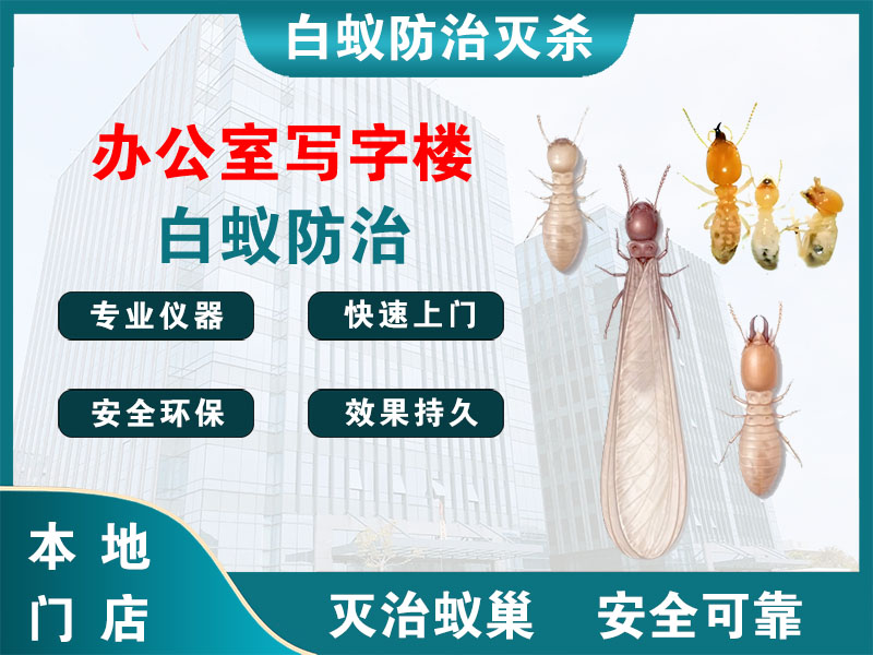 张家港办公室写字楼白蚁防治