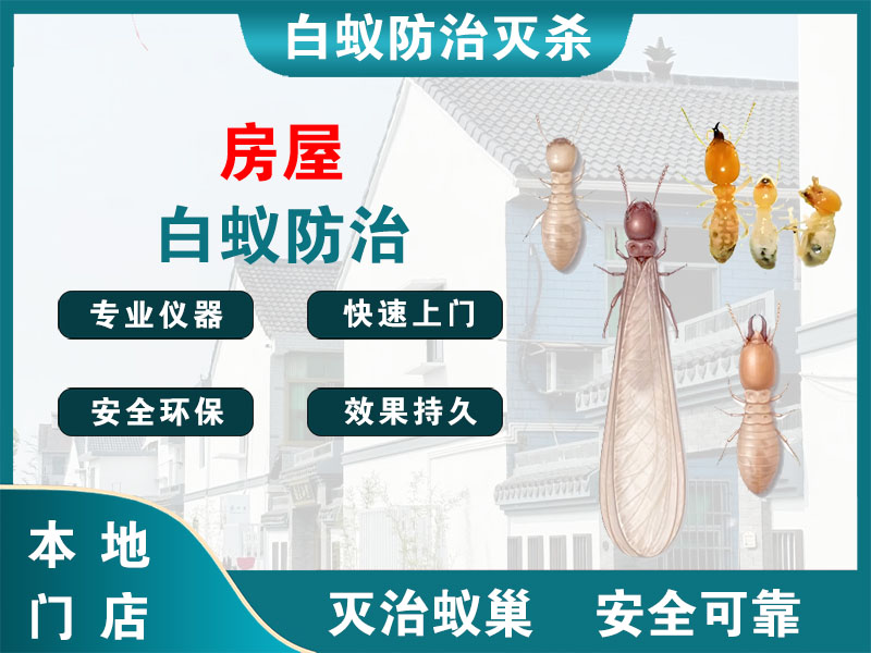 张家港房屋白蚁防治